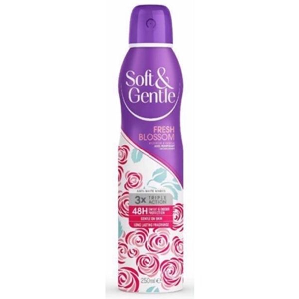 SOFT & GENTLE SPRAY FRESH BLOSSOM 250ML PACK OF 6