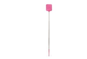 Telescopic Fly Swat