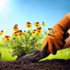 Dekton Tough Grip Latex Coated Gardening Gloves 10/Xl