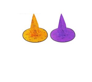 Halloween Spider & Cobweb Witch Hat