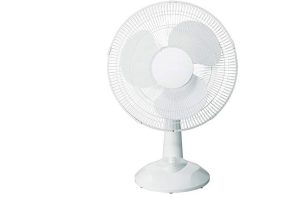 Status Oscillating 3 Speed Desk Fan 16"