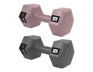 Fitstyle Dumbbell 6kg