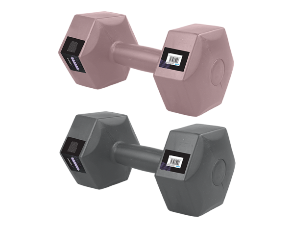 Premium Fitstyle dumbbell 6kg