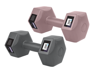 Fitstyle Dumbbell 4kg