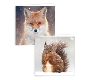 Giftmaker Photographic Squirrel & Fox Christmas Gift Card 2 Pack Of 10