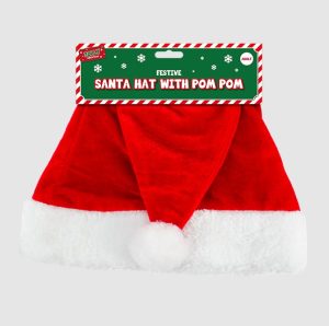 Christmas Adult Santa Hat