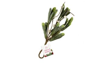 Christmas Glittered Mistletoe Hanging Decoration 23.5cm X 10cm