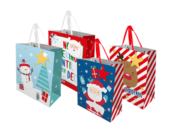 Premium Christmas cute medium gift bags pack of 2