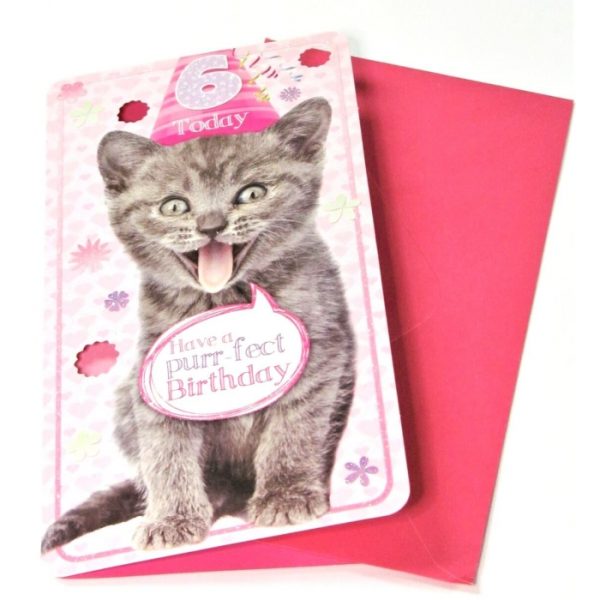 Kitten Age 6 Birthday Card