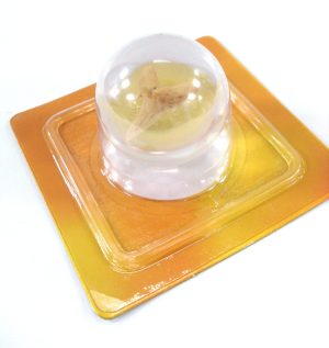 Marble Ball Decoration Tooth