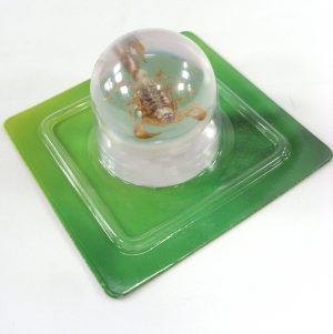 Scorpion Marble Ball Decoration