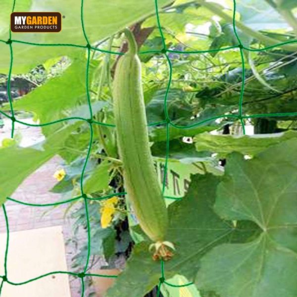 4m Pea & Bean Netting w/ 8 Plant Fixing Clips