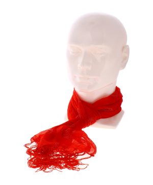 Tassel Scarf- Red & Paisley Pattern