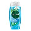 RADOX SHOWER GEL FEEL ACTIVE 225ML PACK OF 6