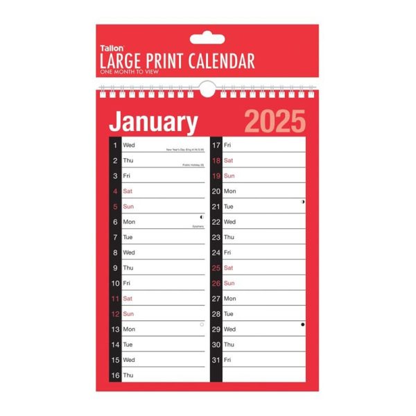 TALLON CALENDAR LARGE PRINT 2025 PACK OF 12