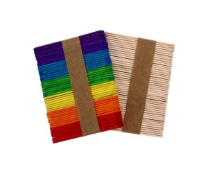 Assorted Medium Craft Stick 100 Pack