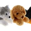 Plush Paw Pals