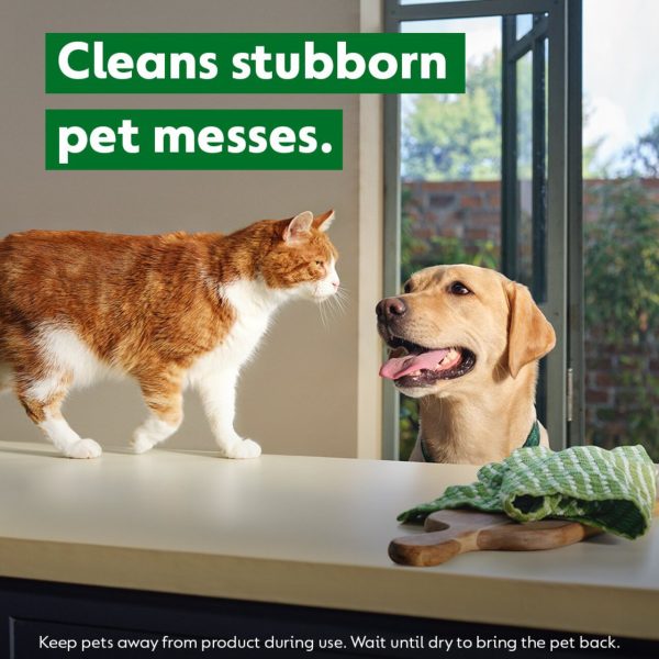 Dettol Pet Wipes