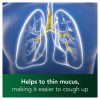 Benylin Mucus Cough Max Honey & Lemon Syrup