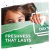 Persil Bio Washing Liquid 24 Washes