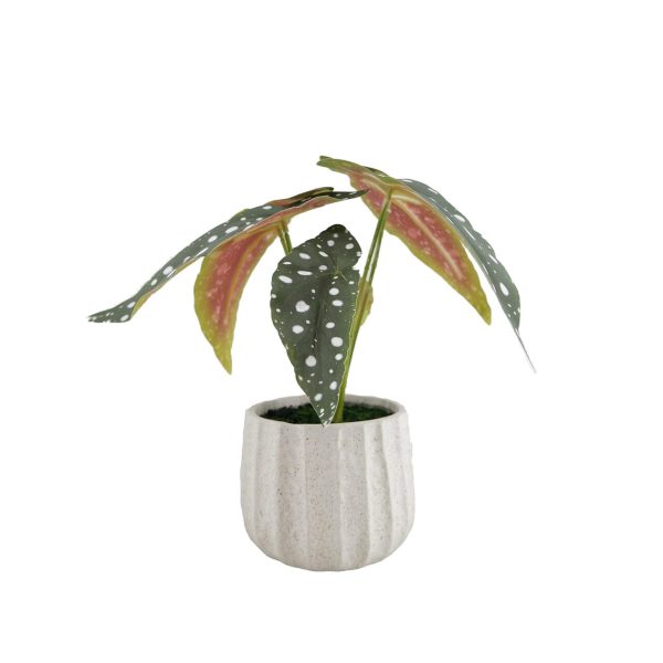 Nutmeg Home Faux Begonia In Ceramic Pot