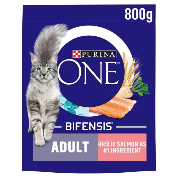 Purina ONE Adult Dry Cat Food Rich in Salmon