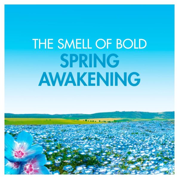 Bold All-In-1 Spring Awakening Washing Capsules