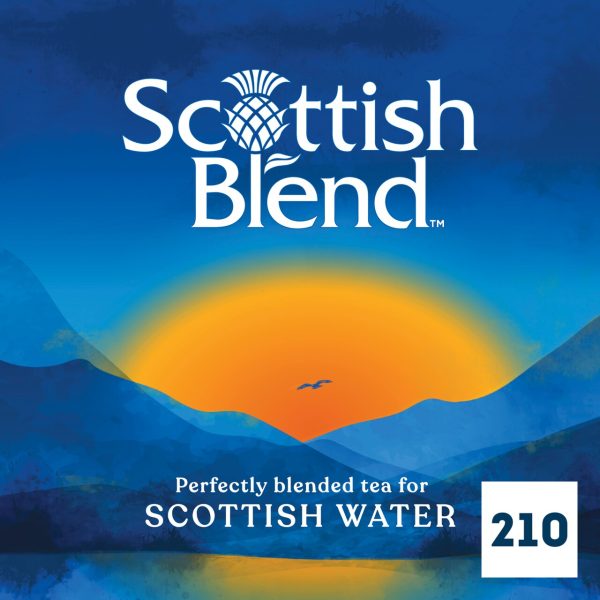 PG Tips Scottish Blend Original 210 Tea Bags