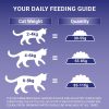 Purina ONE Sensitive Dry Cat Food Rich in Turkey