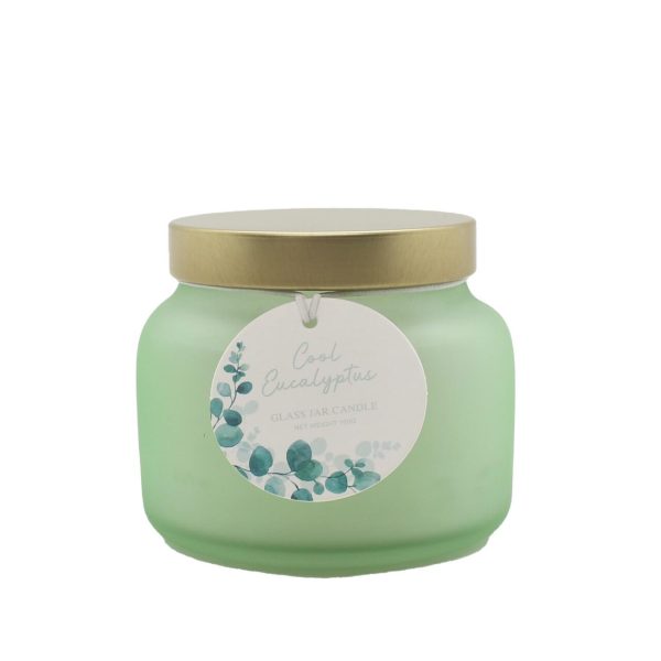 Nutmeg Home Cool Eucalyptus Frosted Jar Candle