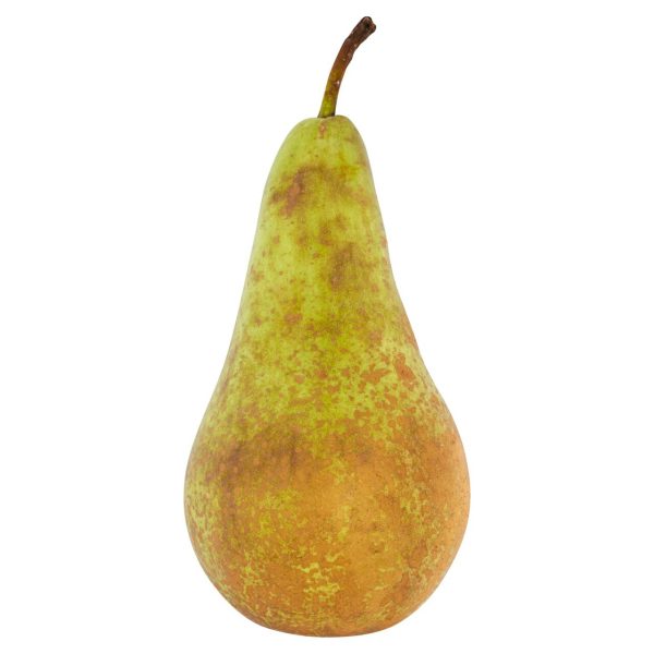 Loose Conference Pears