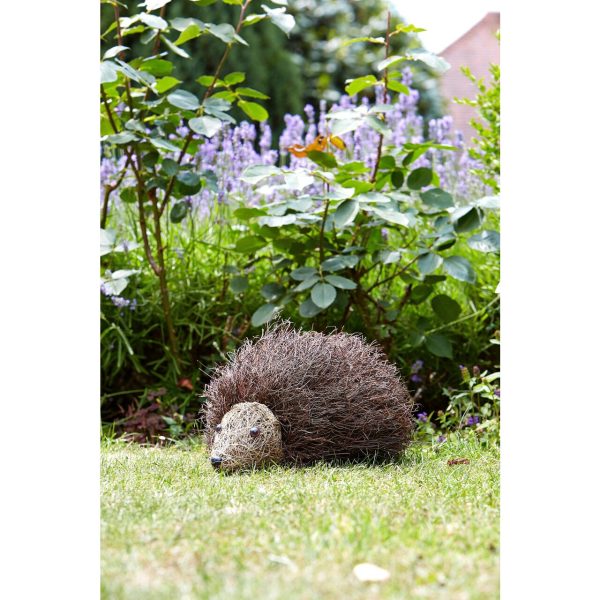 Nutmeg Hedghog Funimal