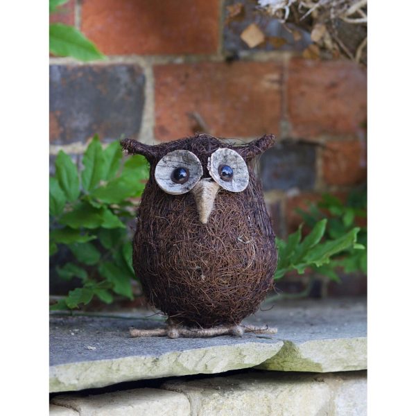 Nutmeg Owl Funimal Ollie