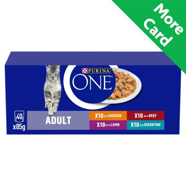 Purina One Mini Fillets Mixed Selection In Gravy Wet Cat Food