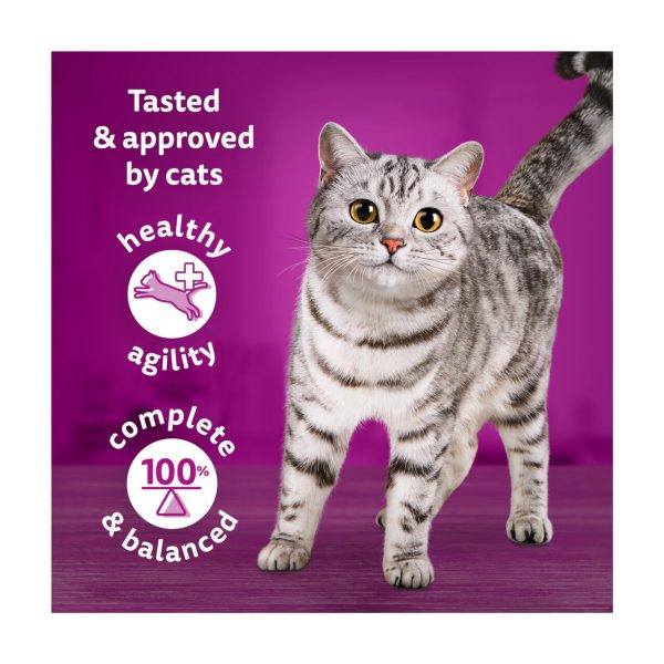 Whiskas 1+ Catch of the Day Mix Adult Wet Cat Food Pouches in Gravy