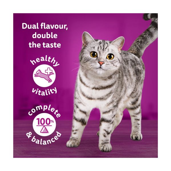 Whiskas 1+ Duo Meaty Combos Adult Wet Cat Food Pouches in Jelly