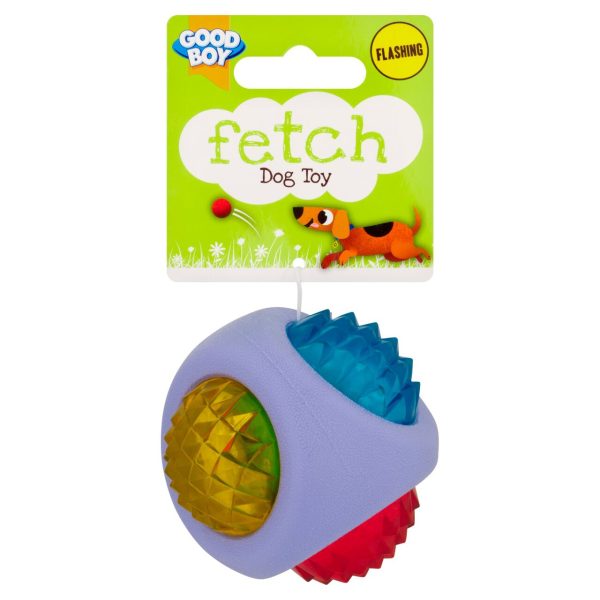 Good Boy Flashing Ball Dog Toy