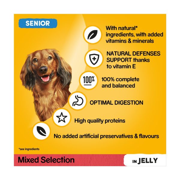 Pedigree Senior Wet Dog Food Pouches in Jelly