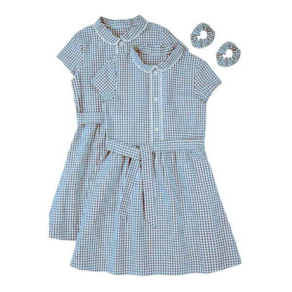 Nutmeg Traditional Gingham Blue Dress Age 5-6 Years