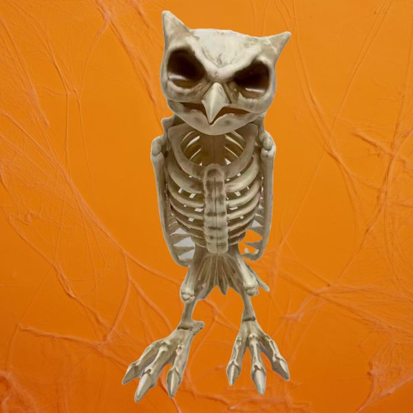 Morrisons Halloween Owl Skeleton