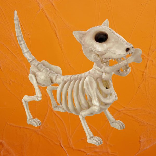 Morrisons Halloween Skeleton Dog