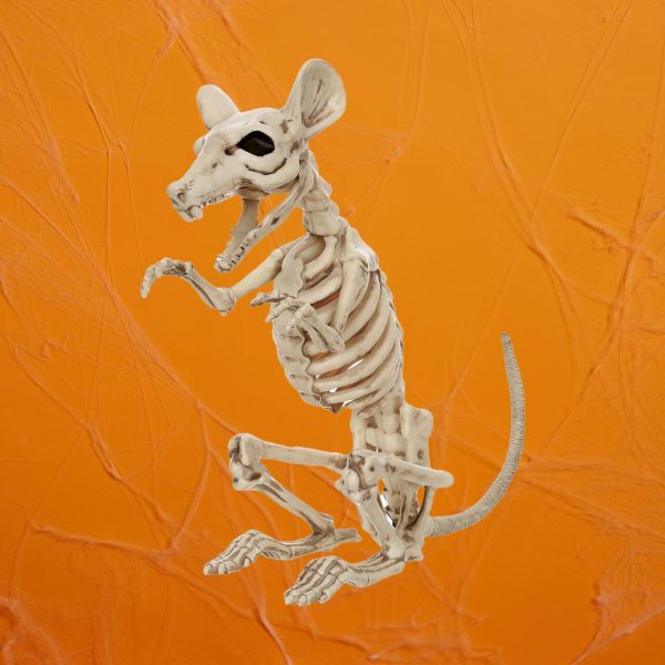 Morrisons Halloween Skeleton Rat