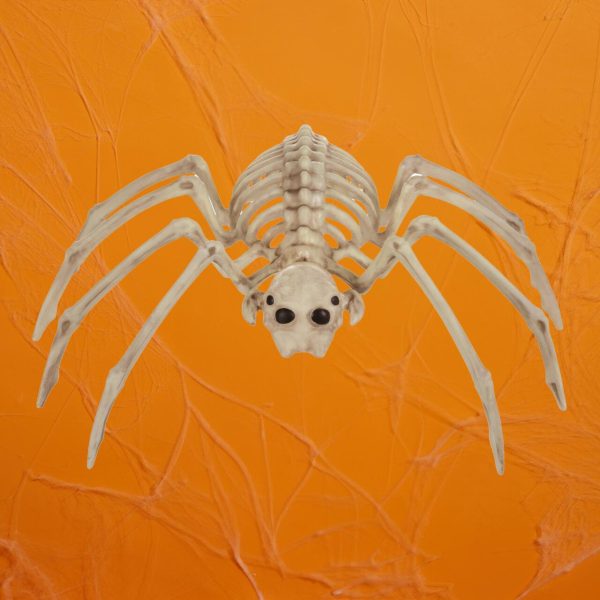 Morrisons Halloween Skeleton Spider