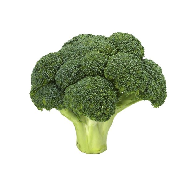 Large Broccoli