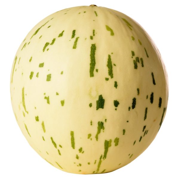 Snowball Melon