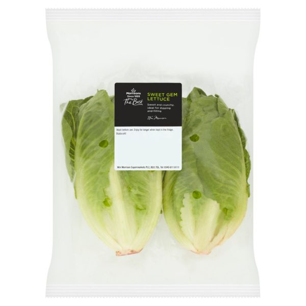 The Best Sweet Gem Lettuce