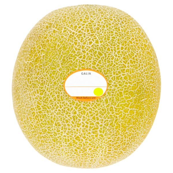 Whole Galia Melon