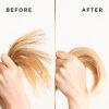 Pantene Miracles Shampoo