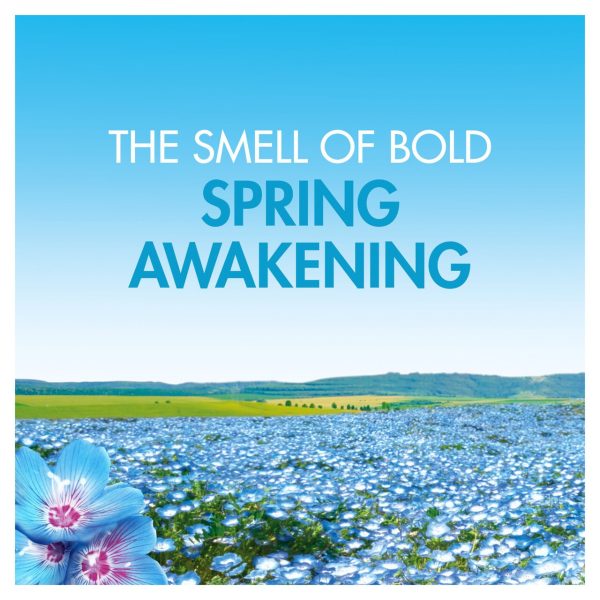 Bold 2in1 Washing Powder Spring Awakening 40 Washes