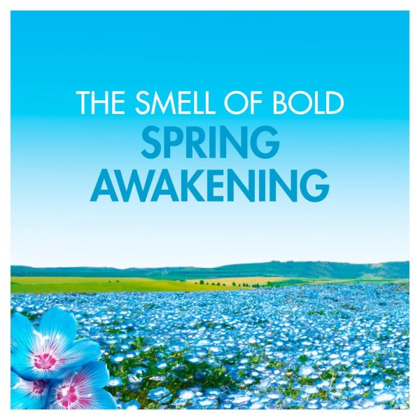 Bold All-In-1 Spring Awakening Washing Capsules pack of 13